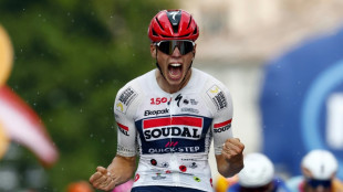 France's Magnier sprints to Giro 18th stage win, Vingegaard in pink