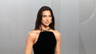 Samsung, 'grande rispetto per Dua Lipa e per la propriet&agrave; intellettuale'