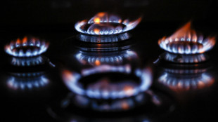 In calo l'indice italiano del prezzo del gas