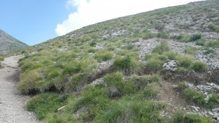 Dalle cicatrici degli Appennini un archivio storico dei terremoti italiani