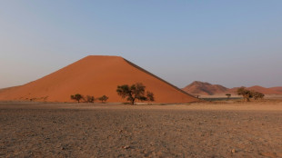 Deutsche Unternehmerfamilie Lohmiller bei Flugzeugabsturz in Namibia ums Leben gekommen