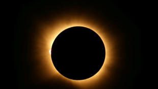 Spain darkens as solar eclipses races south from Arctic