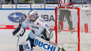Eishockey: Zehn Abg&auml;nge beim ERC Ingolstadt