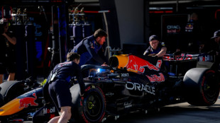 'Every lap is survival' laments Verstappen on Red Bull woes