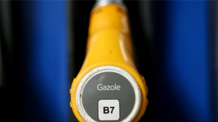 Prix du gazole: le gouvernement esp&egrave;re un effet imm&eacute;diat de la lib&eacute;ration de stocks strat&eacute;giques