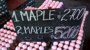 Cuando el valor del helado es noticia: argentinos "aturdidos" entre debates y precios