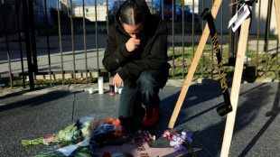 Rob Reiner murder: son not medically cleared for court 