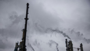 Prix du gaz: au Havre, la production d'ammoniac pour les engrais red&eacute;marre apr&egrave;s trois semaines d'arr&ecirc;t