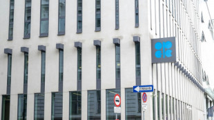 Opec+-L&auml;nder erh&ouml;hen nach &uuml;berraschendem Austritt der Emirate ihre &Ouml;lf&ouml;rderquote