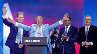 Sondaggio Gb, i consensi per il partito di Farage ai minimi dal 2024