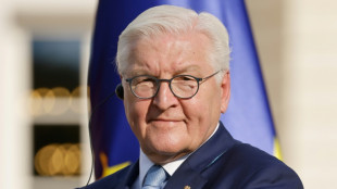 Steinmeier kritisiert Ampelkoalition f&uuml;r &ouml;ffentliches Erscheinungsbild 