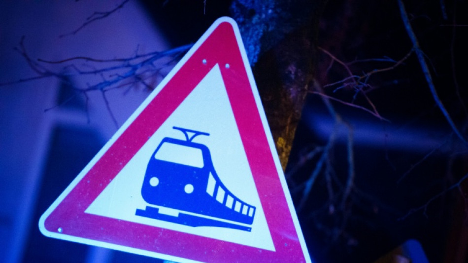 T&ouml;dlicher Unfall in Bayern: Mann bei Spaziergang mit Hunden von G&uuml;terzug erfasst