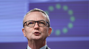 "No se dan" las condiciones para finalizar el acuerdo UE-Mercosur, afirma la Comisi&oacute;n Europea