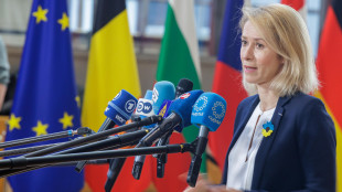 Kallas, 'rafforzeremo Aspides per potenziare la sicurezza marittima'