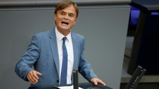 AfD lobt Kubickis Pl&auml;ne zur Neupositionierung der FDP - und sagt Scheitern voraus