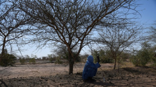 La COP15 contre la d&eacute;sertification s'ouvre &agrave; Abidjan 