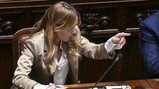 Meloni, i problemi sul sostegno all'Ucraina non li ho io ma il Pd con gli alleati