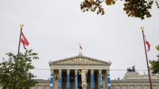 Austria proh&iacute;be el velo en las escuelas para las ni&ntilde;as menores de 14 a&ntilde;os