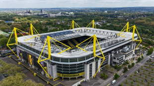 In Dortmunder Stadiondach geklettert: Polizeikosten auf 7000 Euro verringert