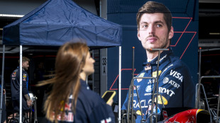 "Besseres Produkt": Weniger Elektro macht Verstappen froh