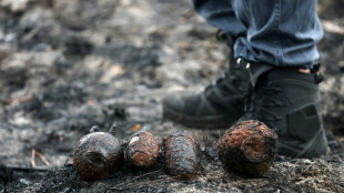 WWII shells surface in wildfire-ravaged French village