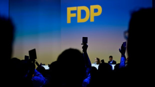 FDP-Parteitag debattiert &uuml;ber "Brandmauer" - Kritik an Kubickis Haltung