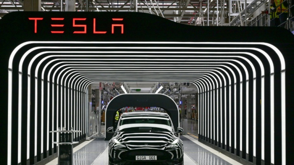 Tesla suspende su producci&oacute;n en Alemania por problemas de transporte en el mar Rojo