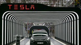 Tesla suspende su producci&oacute;n en Alemania por problemas de transporte en el mar Rojo