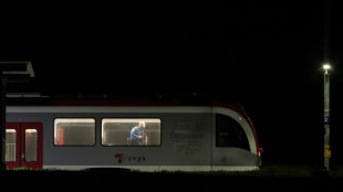 La polic&iacute;a suiza abate al autor de un secuestro en un tren