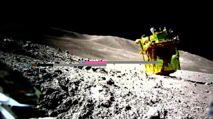 El m&oacute;dulo espacial japon&eacute;s aluniz&oacute; a 55 metros de su objetivo