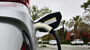 EuGH soll sich mit Ausbau von Ladeinfrastruktur an Autobahnrastst&auml;tten befassen