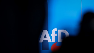 "Spiegel": AfD plant Konstituierung ihrer Europaparlamentsfraktion "Die Souver&auml;nisten"