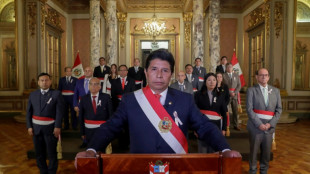 La OEA apoya al gobierno de Per&uacute; y env&iacute;a misi&oacute;n ante crisis pol&iacute;tica