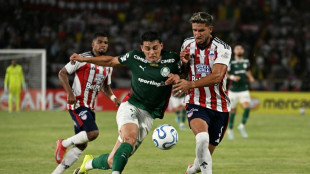 Torcedor morre em confronto ap&oacute;s jogo do Palmeiras na Col&ocirc;mbia