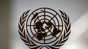La ONU declara la trata de esclavos africanos como "el crimen m&aacute;s grave contra la humanidad" 