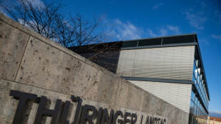Umfrage sieht AfD in Th&uuml;ringen kurz vor Landtagswahl weiter vor CDU