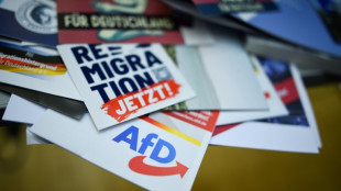 Gr&uuml;ne wollen AfD-Verbotsverfahren vorantreiben - mit Union, SPD und Linken
