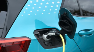 Interdiction des voitures neuves thermiques: la France veut "des flexibilités"