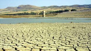 Musumeci, deliberata emergenza nazionale siccit&agrave; Sicilia