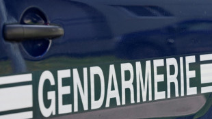 &Icirc;le d'Ol&eacute;ron: un conducteur blesse 10 personnes, enqu&ecirc;te pour tentatives d'assassinats