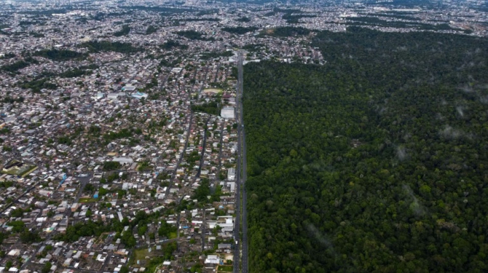 Un crecimiento verde en la Amazon&iacute;a atraer&iacute;a miles de millones de d&oacute;lares, seg&uacute;n un estudio