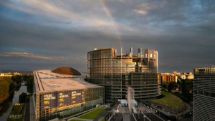 EU urged to broadly restrict 'forever chemicals'