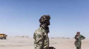 Mindestens 50 Soldaten in Mali bei Dschihadisten-Angriff get&ouml;tet