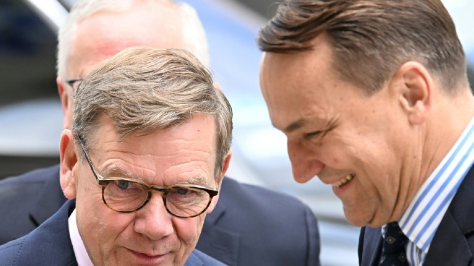 Au&szlig;enminister Polens und Deutschlands fordern engere Verkehrsverbindungen