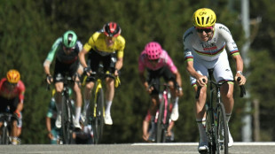 Tour de France: Tadej Pogacar remporte la 3e &eacute;tape et prend le maillot jaune