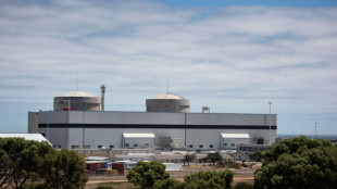 Des incidents mineurs de contamination radioactive  dans une centrale nucl&eacute;aire d'Afrique du Sud