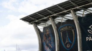 Par&iacute;s FC, una alianza entre la familia Arnault y Red Bull nacida para brillar
