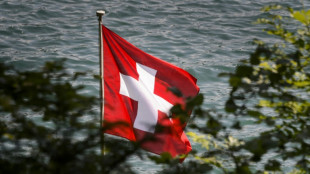 Swiss economy minister back in Washington for tariff talks