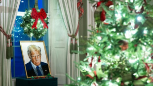 50 B&auml;ume, tausende Schmetterlinge: Melania Trump stellt Weihnachtsdeko im Wei&szlig;en Haus vor