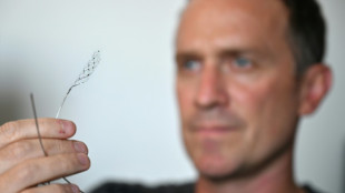 Implantes cerebrales: la carrera hacia el c&iacute;borg cobra impulso